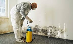 Best Asbestos and Lead Testing During Mold Inspection  in North Lakeport, CA